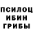 Псилоцибиновые грибы Psilocybe Sophia Thompson