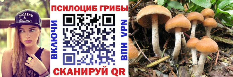 Псилоцибиновые грибы прущие грибы  Кстово 