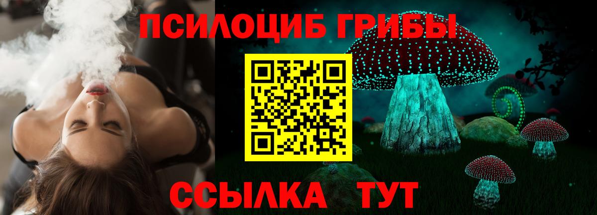 где продают   Псилоцибиновые грибы ЛСД  Псилоцибиновые грибы Psilocybe  Вход с VPN  Кстово 
