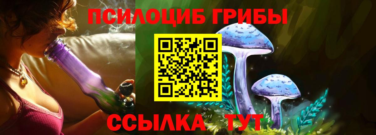 Псилоцибиновые грибы Magic Shrooms Кстово
